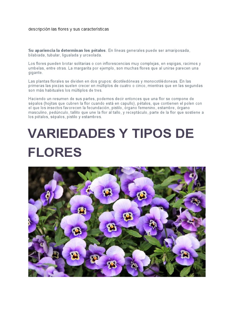 Características y tipos de flores | PDF | Flores | Plantas