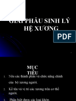 Giải Phẫu Sinh Lý Hệ Xương