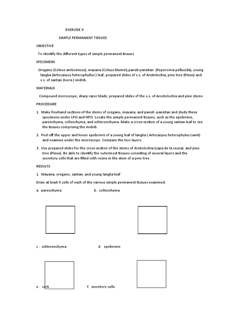 EXERCISE 9 and 10 Botany Lab PDF Plant Stem Leaf