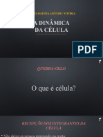 A Dinâmica Da Célula