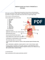 Biologija7 Istrazivacki Rad PDF