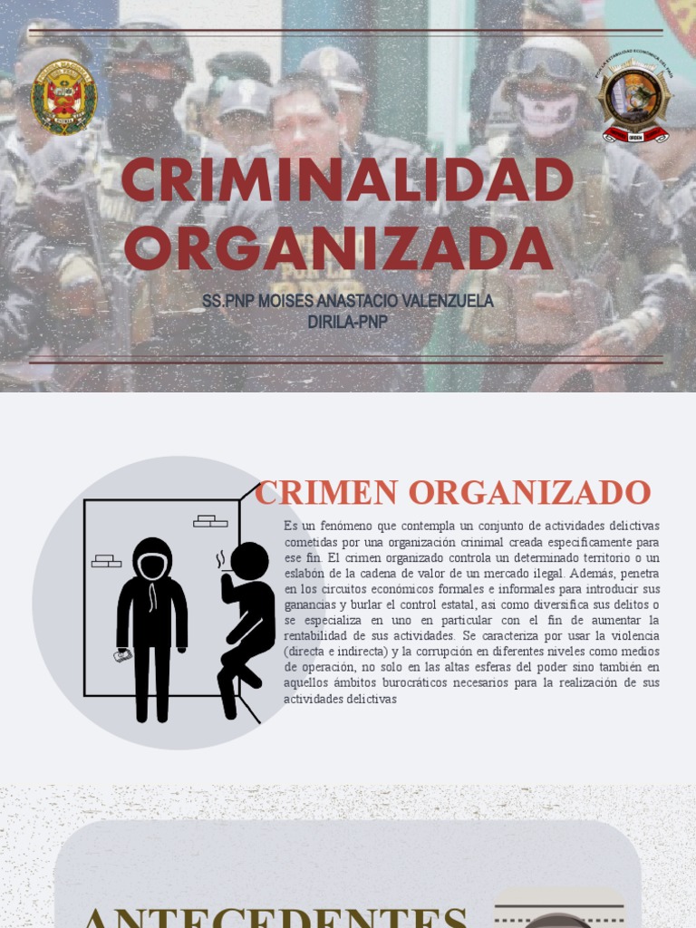 Estructura del Crimen Organizado | PDF | Lavado de dinero | Crímenes