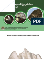 Potret-dan-Rencana-Pengelolaan-Ekosistem-Karst-Kalimantan.pdf