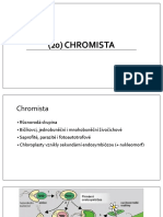 20) Chromista