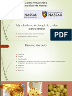 Metabolismo Dos Carboidratos PDF