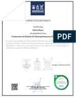 Certificado de capacitación en ciberseguridad sector eléctrico USACH