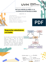 Respuestas Subcelulares A La Lesión y Acúmulos Intracelulares