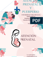 Atención Prenatal y Puerperal