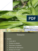 Aspectos Básicos Del Manejo de S Ca MG PDF