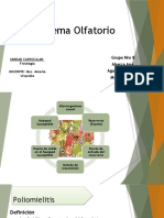 Cadena Epidemiológica Poliomelitis