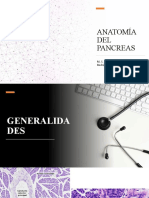 ANATOMÍA DEL PANCREAS Estudiantes.pptx