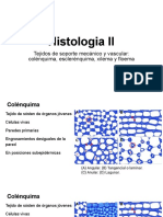 Histologia II PDF
