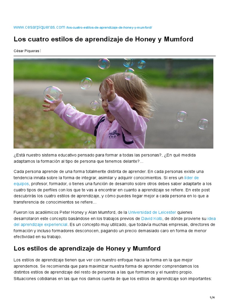 Estilos De Aprendizaje De Honey Y Mumford – IAZDR
