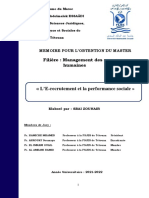 Rapport L'E-recrutement Et La Performance Sociale PDF