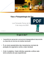 FisiopatologiadaDor PDF