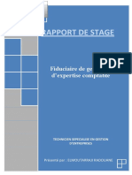 RAPPORT de STAGE Fiduciaire de Gestion e