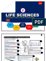 LIFE SCIENCES DIAGRAMS, LABELS & FUNCTIONS BOOK GRADE 12 PAPER 1