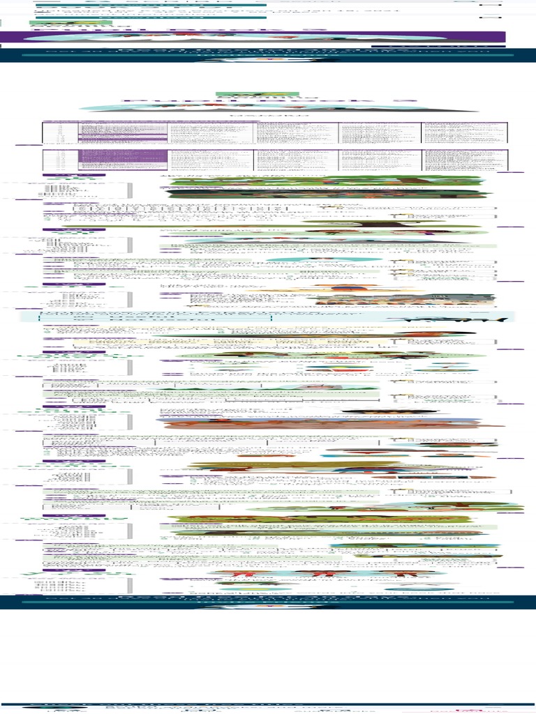 Nelson Spelling Pupil Book 3 PDF PDF
