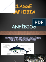 Anfíbios: transição do meio aquático para o terrestre