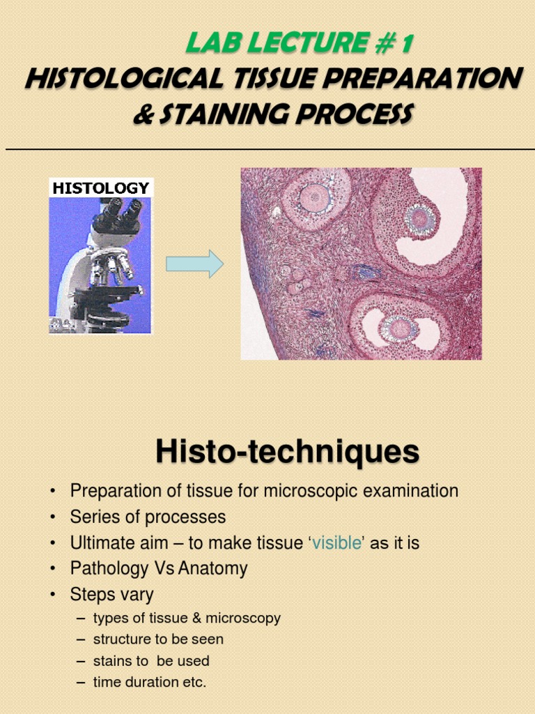 Histology Lab Lec 1 Tissue Preparation & Staining PDF Staining