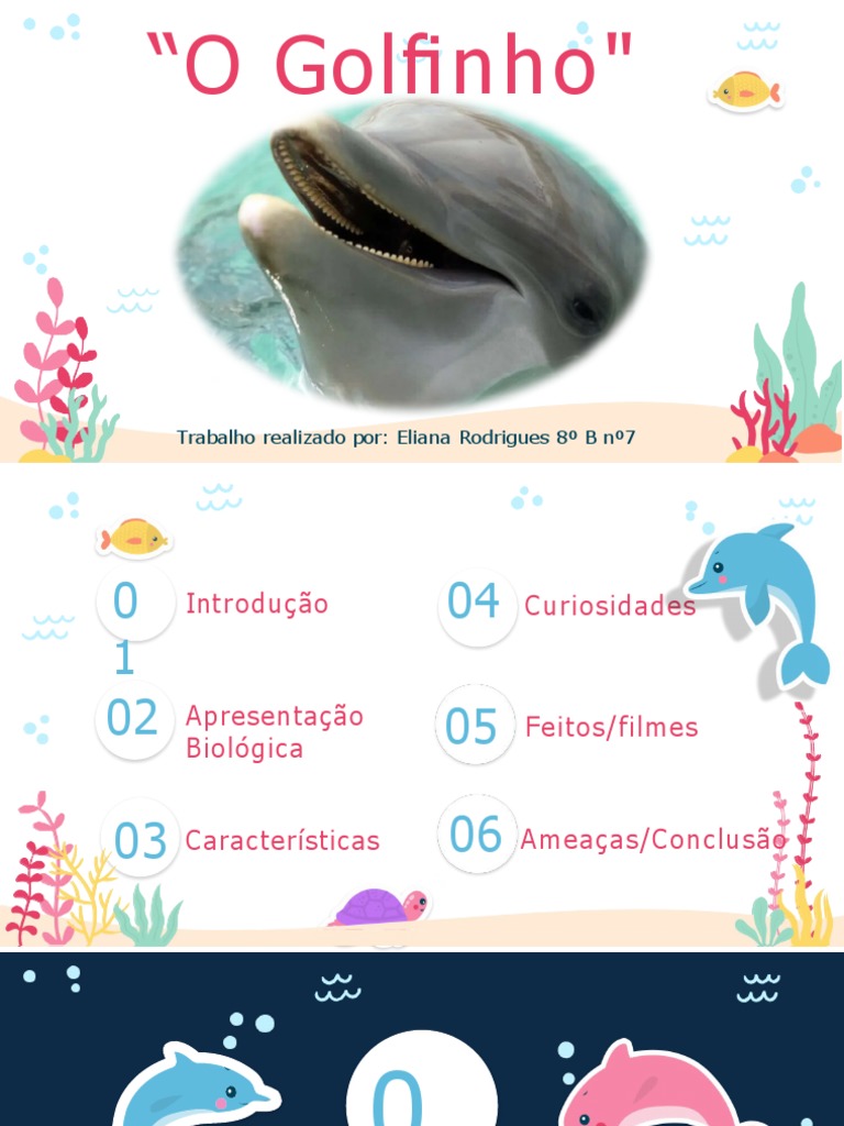 Curiosidades e Características dos Golfinhos | PDF | Golfinho | Organismos