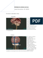 Sistema nervoso central: diencéfalo, cerebelo, medula espinal, telencéfalo e tronco encefálico
