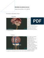 Atividade de Sistema Nervoso-Lab. Virtual - docx-RA 3290146