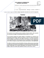 Guia Comprension Lectora y Articulos PDF