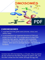 CHROMOSOMES Example