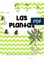 Las Plantas-1