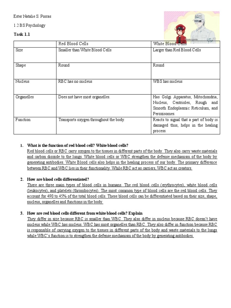 Cells and Amoeba | PDF | Red Blood Cell | Blood Cell