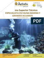 Programa Superior T Cnico Especialista en FM y GA - Edici N MARZO 2023 PDF