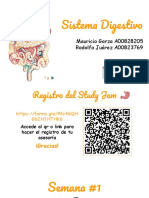 StudyJam - Sistema Digestivo PDF