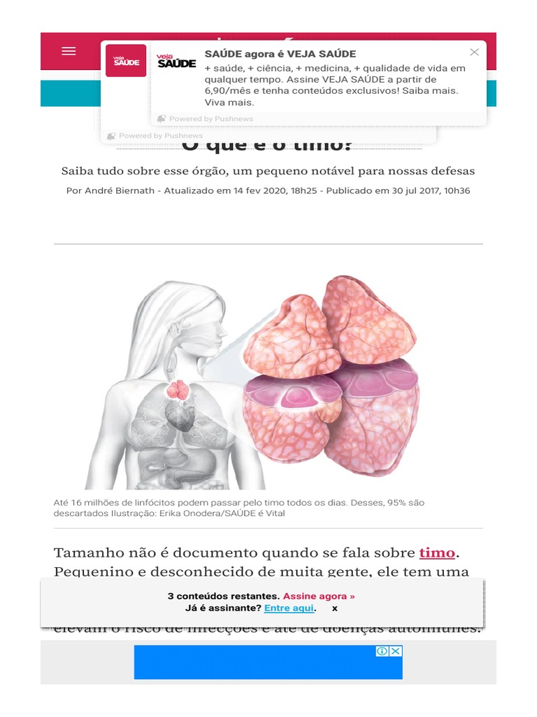O Que É o Timo Veja Saúde | PDF | Timo | Especialidades médicas
