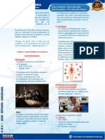 Ebea231678202357generalidadesdeanatomía PDF