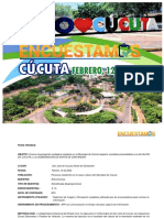 Cucuta - Informe Final Encuesta Feb 12 - 2023 PDF