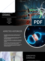 Genética y Expresión Proteica en La Plasticidad Cerebral PDF