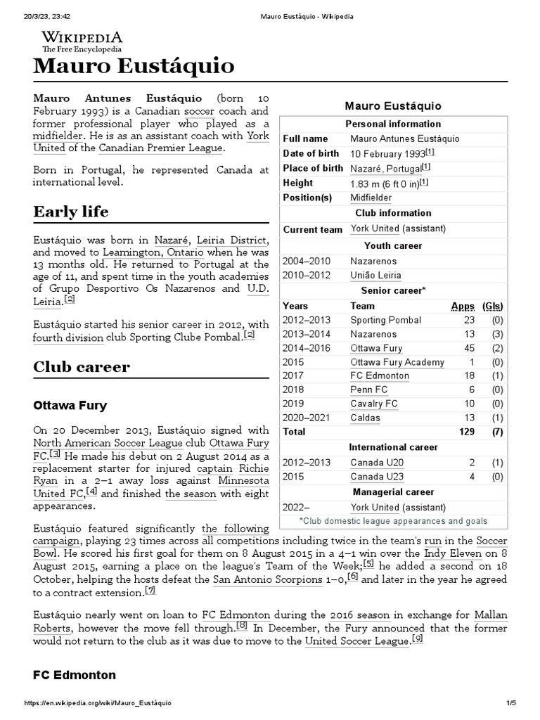 Wikipedia PDF National Association Football Premier Leagues