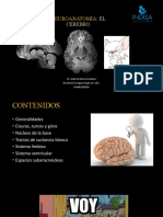 Neuroanatomia GMJ 25012021