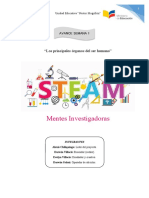 Proyecto Steam