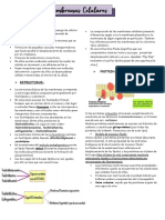 RESUMEN BIOCEL. 2.2 Membranas Celulares