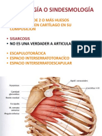 Generalidades de Las Articulaciones