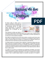 Exploracion de Los Reflejos PDF