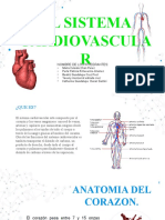 El sistema cardiovascular: anatomía y fisiología
