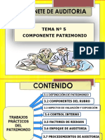 Auditoria Patrimonio-Cc PDF