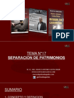 Tema 17 Separacion de Patrimonios PDF