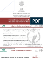 Qué Son Los Derechos Humanos PDF