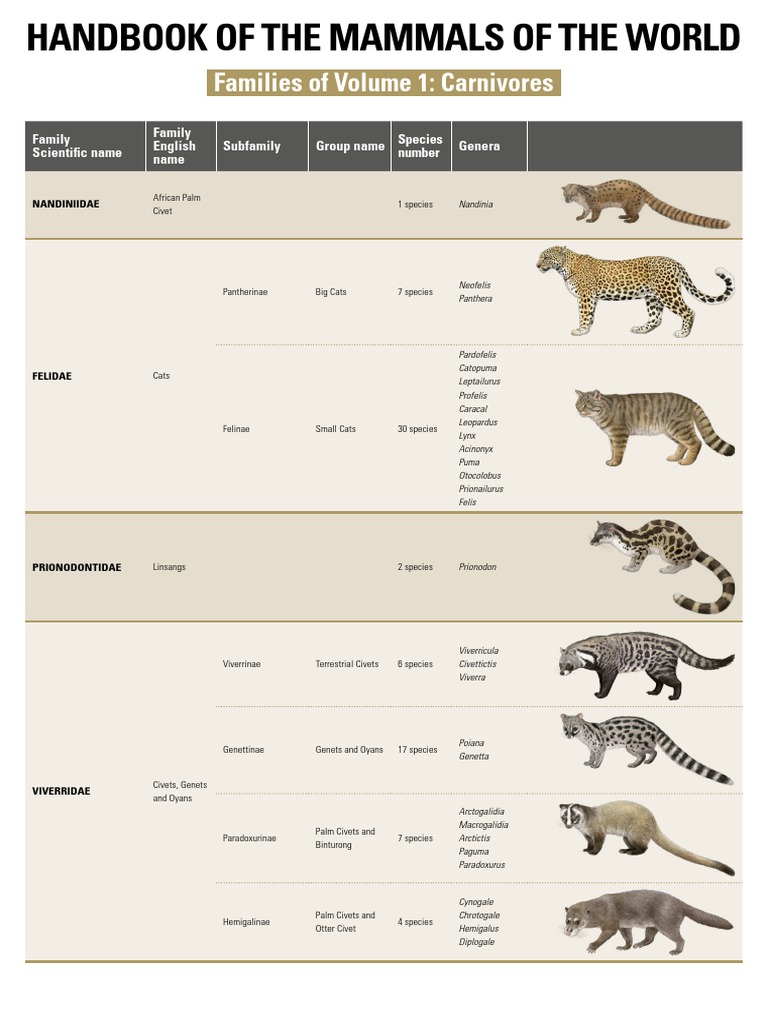 Lynx Edicions - Families HMW Volumes | PDF | Felidae | Hominidae