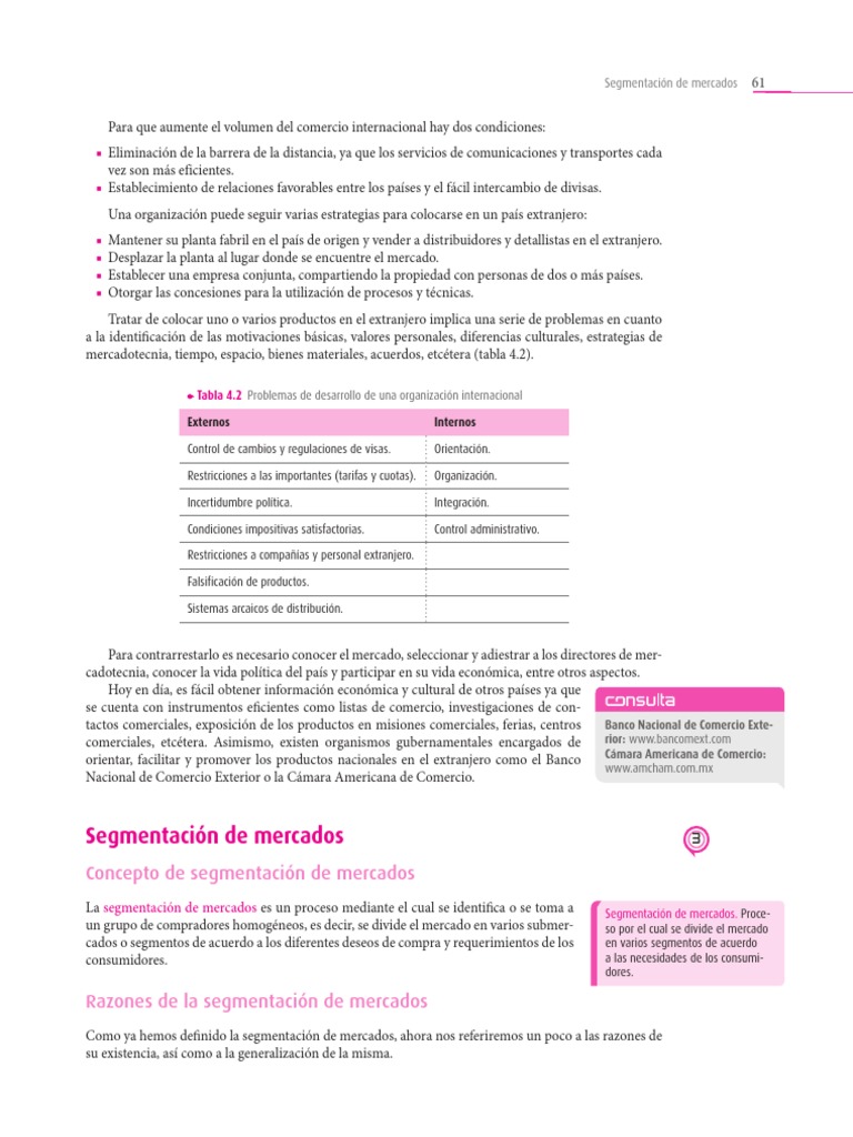 Segmentación de Mercados | PDF | Mercado (economía) | Marketing