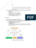 Amino Acids and Protein Structure Explained